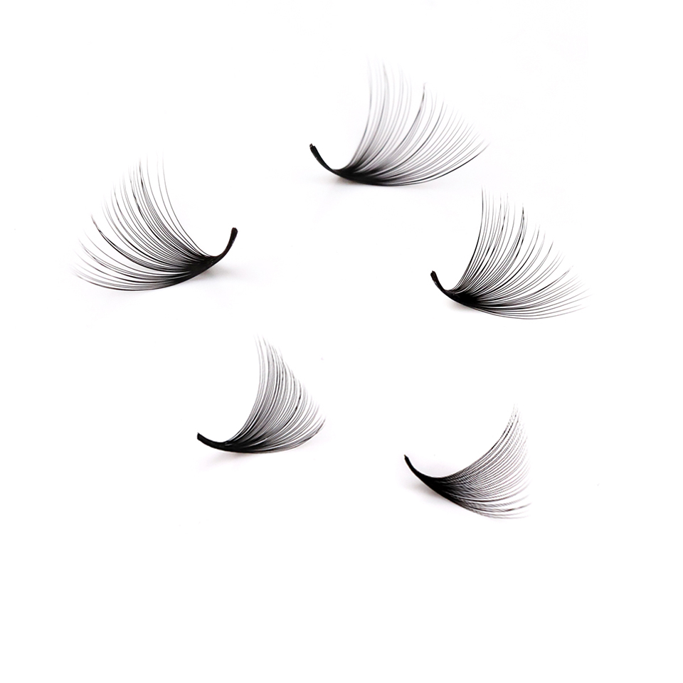 Lashprofessor XL Tray 3D 4D 5D - Eyelash Extension Mega Volume 评论和价格