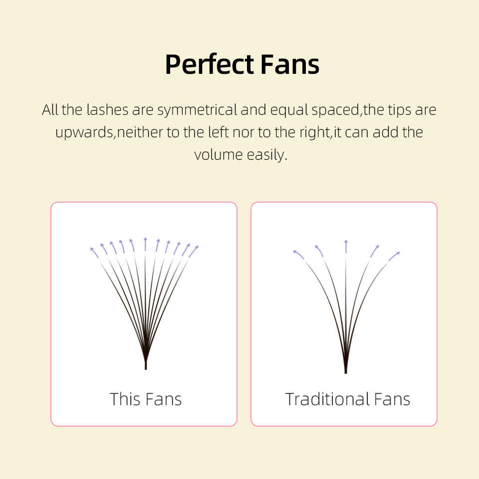Lashprofessor XL Tray 3D 4D 5D - Eyelash Extension Mega Volume 评论和价格
