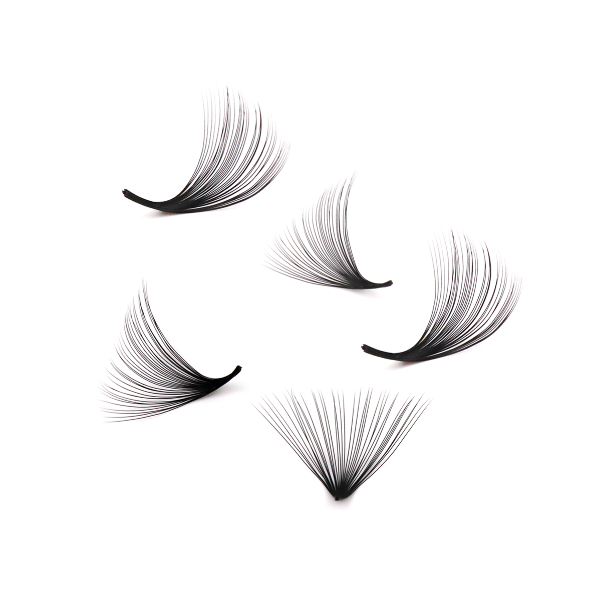 Aguud 2500 Fans Loose Fans Poi - Eyelash Extension Mega Volume 评论和价格