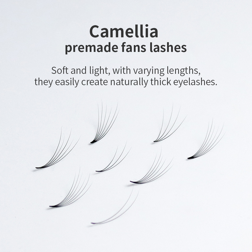 GLAMLASH Premade Volume Fan Ey - Eyelash Extension Mega Volume 评论和价格