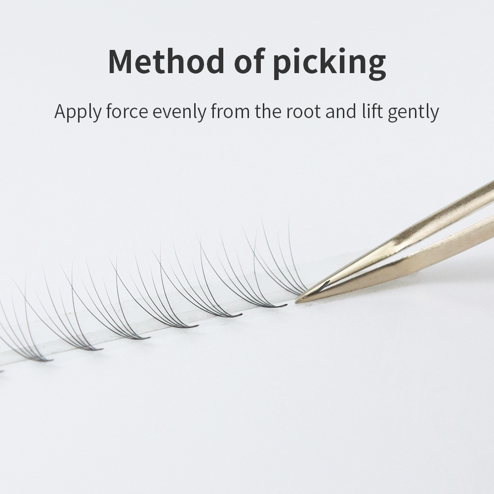 GLAMLASH Premade Volume Fan Ey - Eyelash Extension Mega Volume 评论和价格
